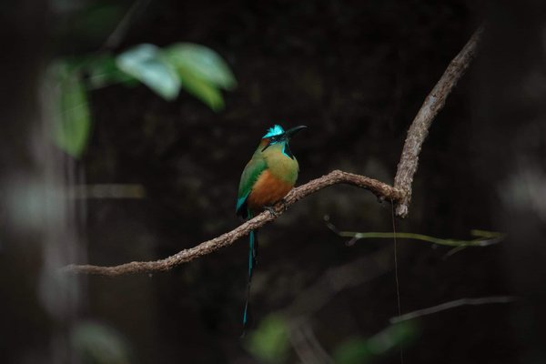 What Are the Best Lightweight Racing Seats for a Subaru Impreza WRX?